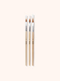 Acrylic Nail Brush Set