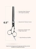 Absolute Hot Precision Hair Shears